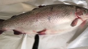 Радужная форель в Керчи!