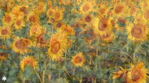 Красивая расслабляющая музыка ? Исцеление стресса, беспокойства и депрессивных состояний тела