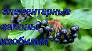 Клаус Джоул "Элементарные законы изобилия" (Важность изобилия)