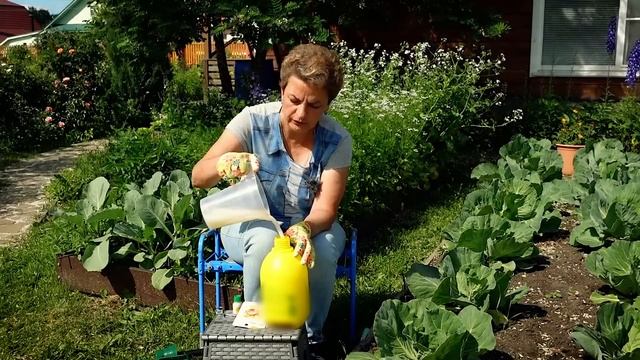 НЕ ЗАБУДЬТЕ ЗАЩИТИТЬ СВОИ РАСТЕНИЯ | Обработка растений от болезней смотреть онлайн