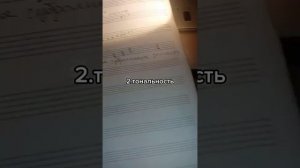 ВСЁ СОЛЬФЕДЖИО ЗА МИНУТУ