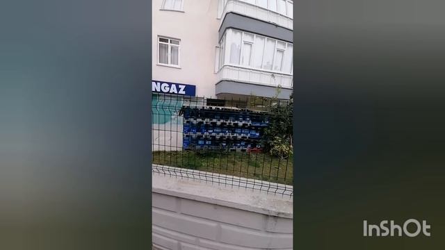 ОБЗОР УЛИЦ ЛИМАНА. ОДНА В ТУРЦИИ НА ПЕНСИЮ.  УЗНАЮ КАК ПРОЖИТЬ В ТУРЦИИ НА РОССИЙСКУЮ ПЕНСИЮ.