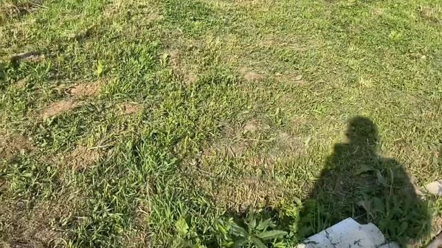 13.06.21. Опалубка из блоков, радуга и расцвёл клематис! смотреть онлайн