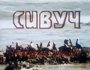 В объективе животные. Сивуч