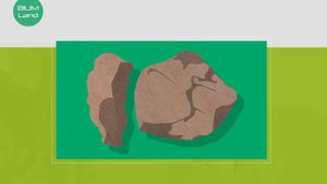 Қазақстан аумағындағы тас дәуірінің тұрақтары