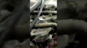 Контрактный двигатель NISSAN SKYLINE V35 VQ35DE 785030A