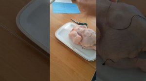 Заправка  птицы в  две нитки