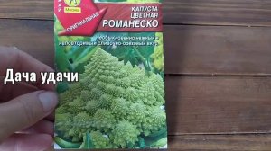 Капуста РОМАНЕСКО на даче! Как вырастить? Мой личный опыт. Дача удачи