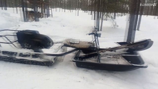 тофалар 600 после 6 мес использования