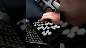 Видеоурок : Разбор песни на баяне "Мэтрушкэлэр"