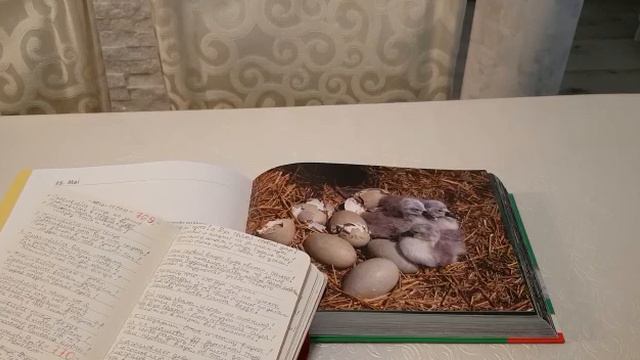 Пожелание внуку - Wünsche an den Enkel - Mamas christliche Gedicht 167 смотреть онлайн