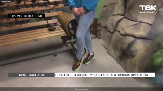 В Красноярске пройдет ночная экскурсия в зоопарке «Роев ручей»