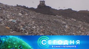 «Сегодня в Санкт-Петербурге»: 26 января 2024 года