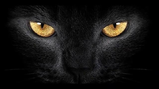 В старом парке Песня на стихи Николая Рубцова смотреть онлайн