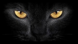 В старом парке Песня на стихи Николая Рубцова