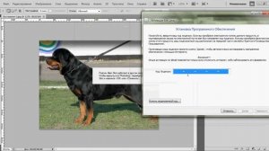 Alien Skin Eye Candy 7 Rus установка и активация в CS5