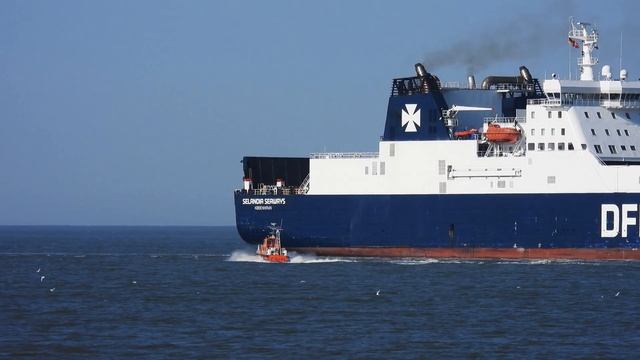 Walking with Nikon Coolpix P950. смотреть онлайн