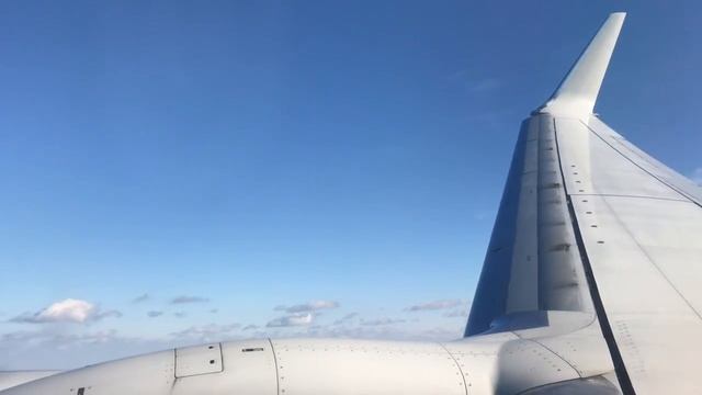 American Airlines | Boeing 737-800 | Landing at John F. Kennedy International Airport (JFK) смотреть онлайн