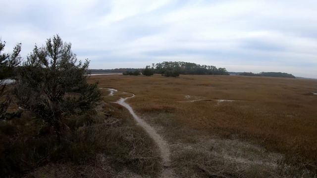 RV Camping @ Skidaway Island State Park in Savannah GA смотреть онлайн