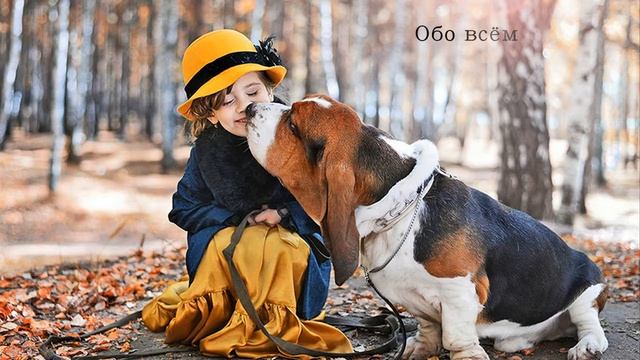 Обо всем, минус без бэк вокала