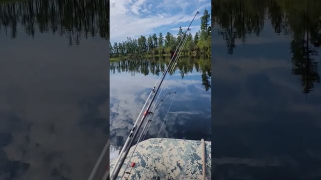 ВВЕРХ ПО РЕКЕ ТОМПУДА, рыбалка на хариуса. #байкал #озеробайкал #поход #short #тайга #заповедник