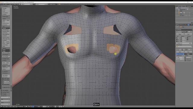 Male Torso Modeling