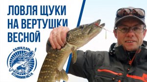 Ловля щуки спиннингом на вертушки весной