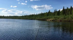 река Лыжа. 2021г.