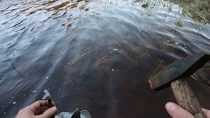 Сентябрь 2019. часть3