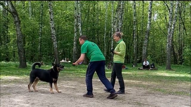 Лето, фризби, Ричард :) смотреть онлайн