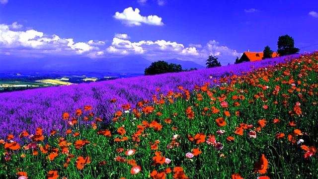 Как относиться к проблемам. Мудрая притча поможет вам стать сильнее и не бояться проблем. смотреть онлайн