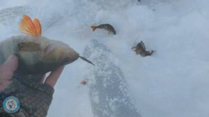 За КРУПНОЙ ЩУКОЙ на Далёкое Озере в ТАЙГЕ. Приготовили ЖЕРЕБЯТИНУ В ВОКЕ. Зимняя рыбалка. ЧАСТЬ 2