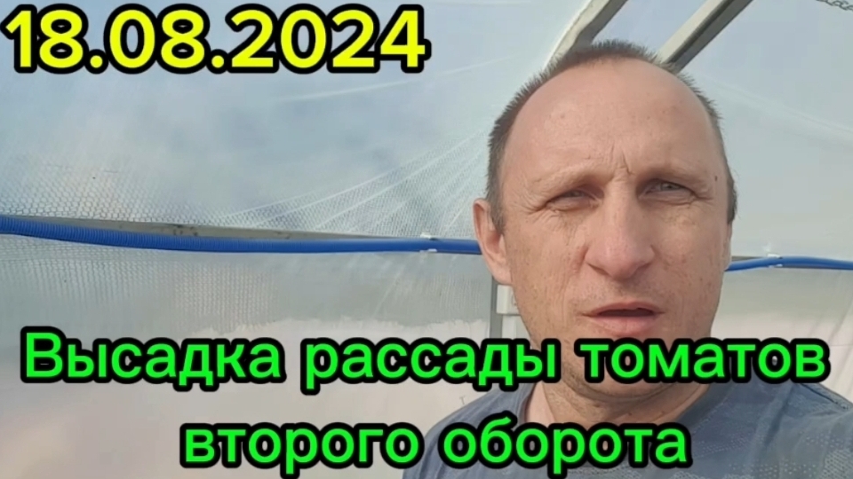 Высадка томатов в грунт. Осенне-зимний оборот