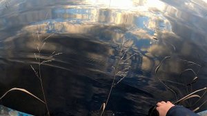 Весенний поход за раками. Встретились с озёрной зверюгой