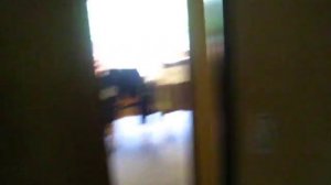 Наш дом в Голландии