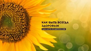 Самые полезные продукты разжижающие кровь и укрепляющие сосуды