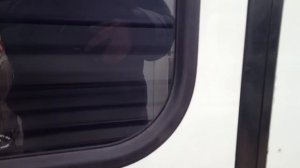 от Станция метро Шушары до станция метро  дунайская