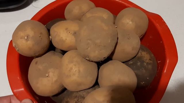 Как избавиться от колорадского жука,борьба с колорадским жуком осенью,Колорадский жук