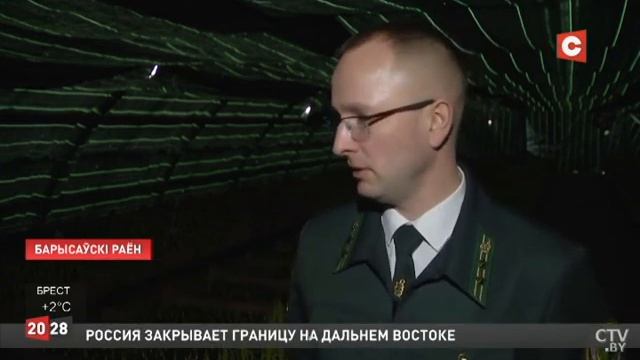 Как голландские тюльпаны выращивают в Борисовском опытном лесхозе