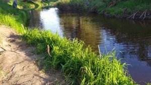 Рыбалка. Карась. Старые Карачи.