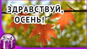 И снова осень. Красивое поздравление с началом осени 1 сентября. Осенний привет