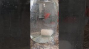 Насадка на карпа своими руками )) Убийца карпа