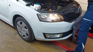 Škoda Rapid 2014 numbers location