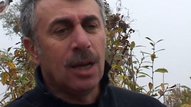 Рыбалка со Звездами. Доктор Комаровский ЧАСТЬ 2 смотреть онлайн