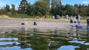Вечер в городе Тронхейм. Живописные дороги Норвегии. Нордкап 17.