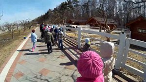 Контактная деревня. Зоопарк. 2017