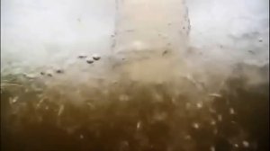 Зимняя ловля плотвы и окуня | Технология зимнего клева