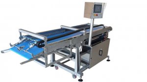 Автоматический укладчик изделий на противень либо на под туннельной печи