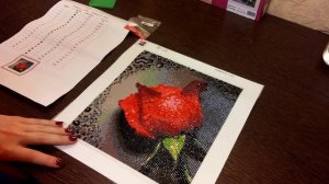 Алмазная мозаика с Алиэкспресс   | Готовая работа мозаики