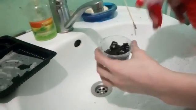 Как вырастить кактусы в домашних условиях.